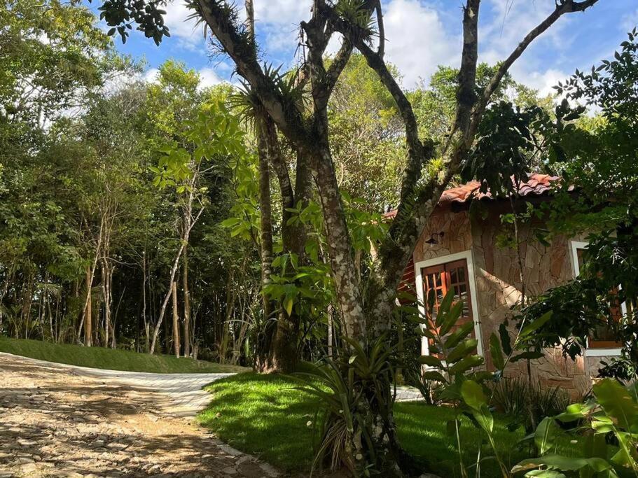 Chale Carolina Bela Villa Guaramiranga Bagian luar foto